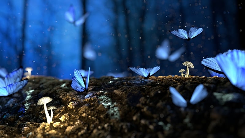 Enchanted Projects