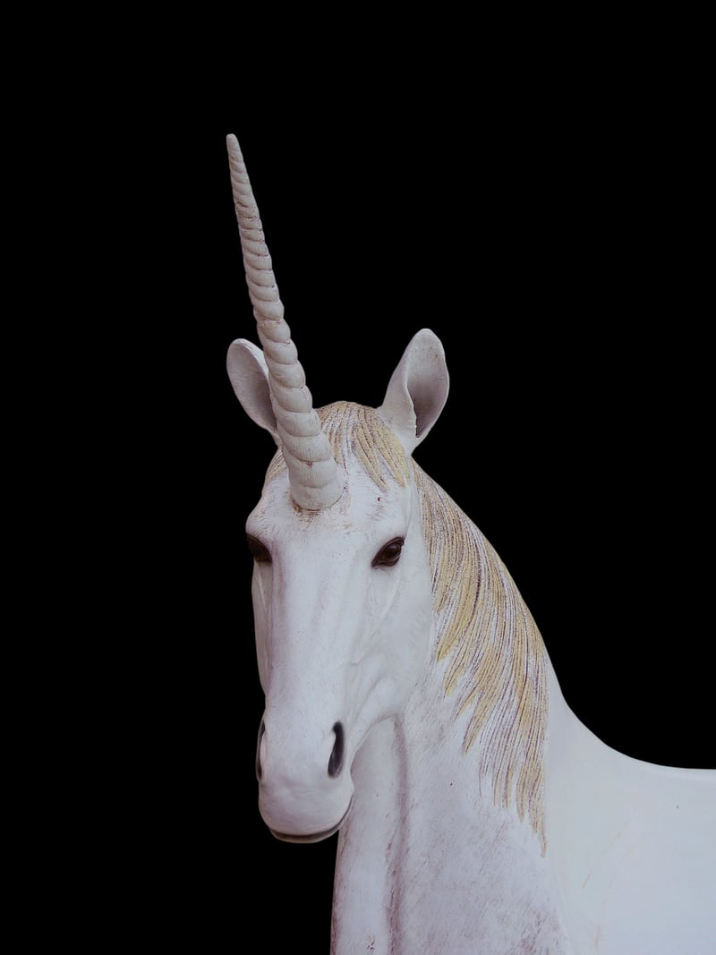 Starfern